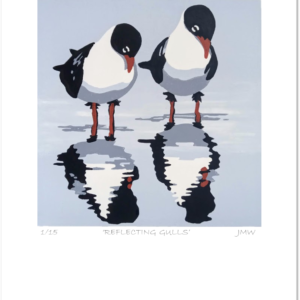 'Reflecting Gulls - print