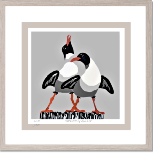 'Strictly Gulls' - framed